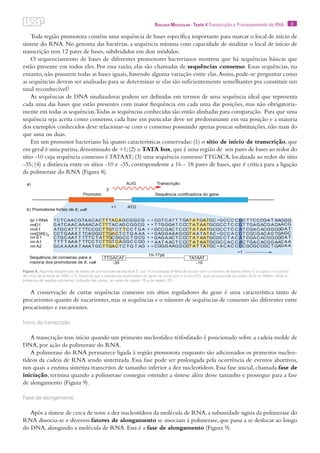 8Biologia Molecular · Texto 4 Transcrição e Processamento do RNA
Toda região promotora contêm uma sequência de bases específica importante para marcar o local de início de
síntese do RNA. No genoma das bactérias, a sequência mínima com capacidade de sinalizar o local de início de
transcrição tem 12 pares de bases, subdvididos em dois módulos.
O sequenciamento de bases de diferentes promotores bacterianos mostrou que há sequências básicas que
estão presente em todos eles. Por essa razão, elas são chamadas de sequências consenso. Essas sequências, no
entanto, não possuem todas as bases iguais, havendo alguma variação entre elas.Assim, pode-se perguntar como
as sequências devem ser analisadas para se determinar se elas são suficientemente semelhantes pra constituir um
sinal reconhecível?
As sequências de DNA sinalizadoras podem ser definidas em termos de uma sequência ideal que representa
cada uma das bases que estão presentes com maior frequência em cada uma das posições, mas não obrigatoria-
mente em todas as sequências.Todas as sequências conhecidas são então alinhadas para comparação. Para que uma
sequência seja aceita como consenso, cada base em particular deve ser predominante em sua posição e a maioria
dos exemplos conhecidos deve relacionar-se com o consenso possuindo apenas poucas substituições, não mais do
que uma ou duas.
Em um promotor bacteriano há quatro características conservadas: (1) o sítio de início de transcrição, que
em geral é uma purina,denominado de +1;(2) o TATA box,que é uma região de seis pares de bases ao redor do
sítio -10 cuja sequência consenso é TATAAT; (3) uma sequência consenso TTGACA, localizada ao redor do sítio
-35; (4) a distância entre os sítios -10 e -35, correspondente a 16 - 18 pares de bases, que é crítica para a ligação
da polimerase do RNA (Figura 8).
A conservação de curtas sequências consenso em sítios reguladores do gene é uma característica tanto de
procariontes quanto de eucariontes, mas as sequências e o número de sequências de consenso são diferentes entre
procariontes e eucariontes.
Início da transcrição
A transcrição tem início quando um primeiro nucleotídeo trifosfatado é posicionado sobre a cadeia molde de
DNA, por ação da polimerase do RNA.
A polimerase do RNA permanece ligada à região promotora enquanto são adicionados os primeiros nucleo-
tídeos da cadeia de RNA sendo sintetizada. Essa fase pode ser prolongada pela ocorrência de eventos abortivos,
nos quais a enzima sintetiza transcritos de tamanho inferior a dez nucleotídeos. Essa fase inicial, chamada fase de
iniciação, termina quando a polimerase consegue estender a síntese além desse tamanho e prossegue para a fase
de alongamento (Figura 9).
Fase de alongamento
Após a síntese de cerca de nove a dez nucleotídeos da molécula de RNA,a subunidade sigma da polimerase do
RNA dissocia-se e diversos fatores de alongamento se associam à polimerase, que passa a se deslocar ao longo
do DNA, alongando a molécula de RNA. Essa é a fase de alongamento (Figura 9).
Figura 8. Algumas sequências de bases de promotores da bactéria E. coli. A numeração é feita de acordo com o número de bases antes (-) ou após (+) o ponto
de início da síntese do RNA (+1). Observe que a sequência codificadora do gene se inicia com a trinca ATG, que corresponde ao códon AUG no RNAm. Note a
presença de regiões consenso, indicada nas caixas, ao redor da região -10 e da região -35.
 