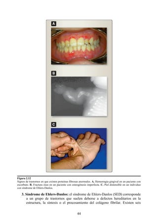 Quite Distensible Biologia Molecular y Celular LIR 2a Edicion.pdf