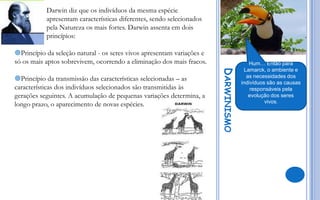 Darwin diz que os indivíduos da mesma espécie
apresentam características diferentes, sendo selecionados
pela Natureza os mais fortes. Darwin assenta em dois
princípios:
Princípio da seleção natural - os seres vivos apresentam variações e
só os mais aptos sobrevivem, ocorrendo a eliminação dos mais fracos.

DARWINISMO

Princípio da transmissão das características selecionadas – as
características dos indivíduos selecionados são transmitidas às
gerações seguintes. A acumulação de pequenas variações determina, a
longo prazo, o aparecimento de novas espécies.

Hum… Então para
Lamarck, o ambiente e
as necessidades dos
indivíduos são as causas
responsáveis pela
evolução dos seres
vivos.

 