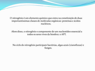 O nitrogênio é um elemento químico que entra na constituição de duas
importantíssimas classes de moléculas orgânicas: proteínas e ácidos
nucleicos.
Alem disso, o nitrogênio e componente de um nucleotídeo essencial a
todos os seres vivos da biosfera: o APT.

No ciclo do nitrogênio participam bactérias, algas azuis (cianofíceas) e
fungos.

 