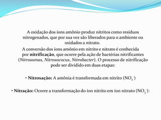 A oxidação dos íons amônio produz nitritos como resíduos
nitrogenados, que por sua vez são liberados para o ambiente ou
oxidados a nitrato.
A conversão dos íons amônio em nitrito e nitrato é conhecida
por nitrificação, que ocorre pela ação de bactérias nitrificantes
(Nitrosomas, Nitrosococus, Nitrobacter). O processo de nitrificação
pode ser dividido em duas etapas:
• Nitrosação: A amônia é transformada em nitrito (NO2-)
• Nitração: Ocorre a transformação do íon nitrito em íon nitrato (NO3-):

 