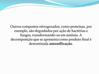 Outros compostos nitrogenados, como proteínas, por
exemplo, são degradados por ação de bactérias e
fungos, transformando-os em amônia. A
decomposição que se apresenta como produto final é
denominada amonificação.

 