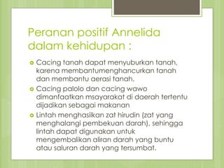 Peranan positif Annelida
dalam kehidupan :
 Cacing tanah dapat menyuburkan tanah,
karena membantumenghancurkan tanah
dan membantu aerasi tanah.
 Cacing palolo dan cacing wawo
dimanfaatkan msayarakat di daerah tertentu
dijadikan sebagai makanan
 Lintah menghasilkan zat hirudin (zat yang
menghalangi pembekuan darah), sehingga
lintah dapat digunakan untuk
mengembalikan aliran darah yang buntu
atau saluran darah yang tersumbat.
 