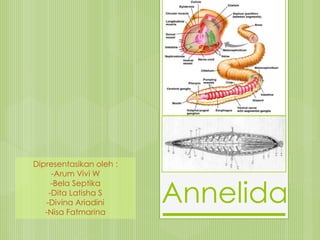 Annelida
Dipresentasikan oleh :
-Arum Vivi W
-Bela Septika
-Dita Latisha S
-Divina Ariadini
-Nisa Fatmarina
 