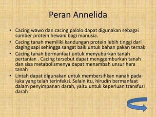 Peran Annelida
• Cacing wawo dan cacing palolo dapat digunakan sebagai
sumber protein hewani bagi manusia.
• Cacing tanah memiliki kandungan protein lebih tinggi dari
daging sapi sehingga sangat baik untuk bahan pakan ternak
• Cacing tanah bermanfaat untuk menyuburkan tanah
pertanian . Cacing tersebut dapat menggemburkan tanah
dan sisa metabolismenya dapat menambah unsur hara
tanah
• Lintah dapat digunakan untuk membersihkan nanah pada
luka yang telah terinfeksi. Selain itu, hirudin bermanfaat
dalam penyimpanan darah, yaitu untuk keperluan transfusi
darah
 