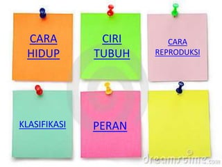 CARA
HIDUP
CIRI
TUBUH
CARA
REPRODUKSI
KLASIFIKASI PERAN
 