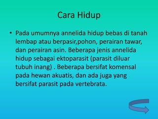 Cara Hidup
• Pada umumnya annelida hidup bebas di tanah
lembap atau berpasir,pohon, perairan tawar,
dan perairan asin. Beberapa jenis annelida
hidup sebagai ektoparasit (parasit diluar
tubuh inang) . Beberapa bersifat komensal
pada hewan akuatis, dan ada juga yang
bersifat parasit pada vertebrata.
 