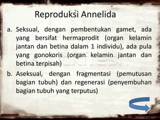 Reproduksi Annelida
a. Seksual, dengan pembentukan gamet, ada
yang bersifat hermaprodit (organ kelamin
jantan dan betina dalam 1 individu), ada pula
yang gonokoris (organ kelamin jantan dan
betina terpisah)
b. Aseksual, dengan fragmentasi (pemutusan
bagian tubuh) dan regenerasi (penyembuhan
bagian tubuh yang terputus)
 