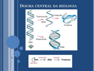 DOGMA CENTRAL DA BIOLOGIA

 