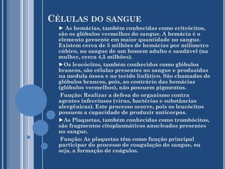 CÉLULAS DO SANGUE
► As hemácias, também conhecidas como eritrócitos,
são os glóbulos vermelhos do sangue. A hemácia é o
elemento presente em maior quantidade no sangue.
Existem cerca de 5 milhões de hemácias por milímetro
cúbico, no sangue de um homem adulto e saudável (na
mulher, cerca 4,5 milhões).
►Os leucócitos, também conhecidos como glóbulos
brancos, são células presentes no sangue e produzidas
na medula óssea e no tecido linfático. São chamados de
glóbulos brancos, pois, ao contrário das hemácias
(glóbulos vermelhos), não possuem pigmentos.
Função: Realizar a defesa do organismo contra
agentes infecciosos (vírus, bactérias e substâncias
alergênicas). Este processo ocorre, pois os leucócitos
possuem a capacidade de produzir anticorpos.
►As Plaquetas, também conhecidas como trombócitos,
são fragmentos citoplasmáticos anucleados presentes
no sangue.
Função: As plaquetas têm como função principal
participar do processo de coagulação do sangue, ou
seja, a formação de coágulos.

 