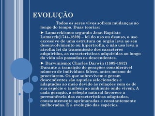 EVOLUÇÃO
Todos os seres vivos sofrem mudanças ao
longo do tempo. Duas teorias:
► Lamarckismo: segundo Jean Baptiste
Lamarck(1744-1829) – lei do uso ou desuso, o uso
excessivo de uma estrutura ou órgão leva ao seu
desenvolvimento ou hipertrofia, o não uso leva a
atrofia; lei da transmissão dos caracteres
adquiridos, as características adquiridas ao longo
da vida são passadas os descendentes.
► Darwinismo: Charles Darwin (1809-1882)
Durante a transição de gerações considerável
número de indivíduos falece, antes mesmo de
procriarem. Os que sobrevivem e geram
descendentes são aqueles selecionados e
adaptados ao meio devido às relações com os de
sua espécie e também ao ambiente onde vivem. A
cada geração, a seleção natural favorece a
permanência das características adaptadas,
constantemente aprimoradas e constantemente
melhoradas. É a evolução das espécies.

 