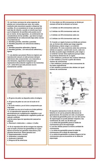 10. Los frutos carnosos de varias especies de
plantas son consumidos por aves, las cuales,
mediante este mecanismo ayudan a dispersar las
semillas. En un ecosistema en el que se presenta
este tipo de relación, sucede un evento que hace
que la dispersión de semillas solo pueda ocurrir
por el viento. de las siguientes , la combinación de
características de las semillas , que tiene la mayor
probabilidad de ser seleccionado bajo estas nuevas
circunstancias es:
a. Semillas grandes, redondas y pesadas
b. Semillas pequeñas con estructuras aladas y
pesadas
c. Semillas pequeñas aplanadas y ligeras
d. Semillas grandes , con estructuras adhesivas y
ligeras
11. Las plantas que poseen flores se originan por
reproducción sexual. en este proceso siempre
intervienen dos componentes: uno masculino y
otro femenino. siguiendo el esquema que
representa la fecundación vegetal en los momentos
I y II , usted diría que este proceso ocurre
exactamente cuándo:
a. El grano de polen se deposita sobre el estigma
b. El grano de polen se une con el ovulo en el
ovario
c. El ovulo madura y es el único componente que
interviene
d. El polen se une con el ovulo en el tubo polínico
12. La reproducción asexual se realiza
generalmente por multiplicación vegetativa o por
esporulación. la multiplicación vegetativa puede ser
natural o artificial
Cuál de estos tipos de reproducción asexual es
artificial
a. Rizomas b. tubérculos c. estaca d. bulbo
13. En la reproducción de los musgos las esporas
caen al suelo y forman los gametofitos en cuyos
ápices se forman los gametos masculinos y los
gametos femeninos. Estos gametos son:
a. Espermatozoides y óvulos
b. Anteridios y arquegonios
c. Androceo y gineceo
d. Ninguna de las anteriores
14. Una célula con 98 cromosomas se divide por
meiosis al final de la división se forman:
a. 4 células con 98 cromosomas cada una
b. 2 células con 98 cromosomas cada una
c. 4 células con 49 cromosomas cada una
d. 2 células con 49 cromosomas cada una
15. Cuando un cigoto humano se divide por primera
vez, se forman dos células que luego seguirán
dividiéndose y darán origen a un embrión
multicelular. En raras ocasiones estas dos primeras
células se separan, cuando esto ocurre, cada una
de ellas se puede seguir dividiendo y dar origen a
un embrión normal. Esto explicarse porque todas
las primeras divisiones de un cigoto
a. Son mitóticas y producen dos núcleos idénticos
b. Son meiótica y ocurren a partir del mismo
número de cromosomas
c. Son mitóticas y producen más cromosomas de
los había originalmente
d. Son meiótica y producen dos células con igual
número de cromosomas
16.
El esquema representa el ciclo de vida de un
helecho en el cual se presenta alternancia de
generaciones. De acuerdo con esto, al comparar
una célula de gametofito joven con una del racimo
de esporangios se puede plantear respecto a las
condiciones de cada una de ellas que
a. La célula del gametofito posea el doble de
cromosomas que la de esporangio
b. Las dos células posean la misma cantidad de
cromosomas
c. La célula de gametofito posea la mitad de
cromosomas de la célula de esporangio
d. La célula de gametofito no posea ninguno de los
cromosomas que se encuentran en la célula de
esporangio
 