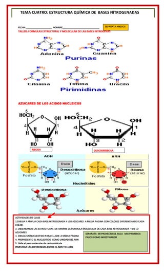 TEMA CUATRO: ESTRUCTURA QUÍMICA DE BASES NITROGENADAS
 