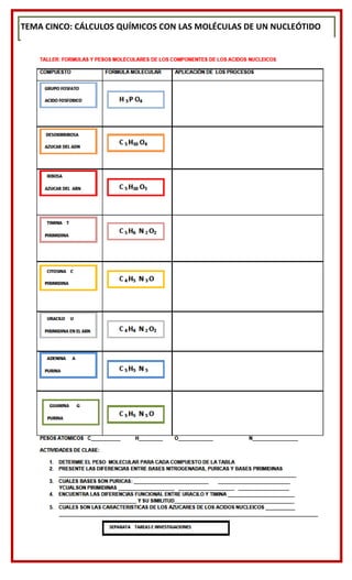 TEMA CINCO: CÁLCULOS QUÍMICOS CON LAS MOLÉCULAS DE UN NUCLEÓTIDO
 