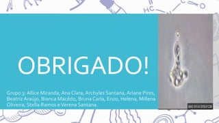 OBRIGADO!
Grupo 3: Allice Miranda, Ana Clara, Archyles Santana, Ariane Pires,
Beatriz Araújo, Bianca Macêdo, BrunaCarla, Enzo, Helena, Millena
Oliveira, Stella Ramos eVerena Santana.
 