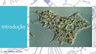 Introdução
Por: Millena Oliveira
 