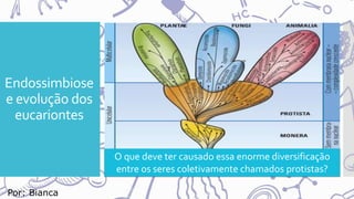 Endossimbiose
e evolução dos
eucariontes
O que deve ter causado essa enorme diversificação
entre os seres coletivamente chamados protistas?
Por: Bianca
 