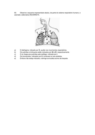 60. Observe o esquema representado abaixo, de parte do sistema respiratório humano, e
assinale a alternativa INCORRETA.
V
I
IV
III
II
a) O diafragma, indicado por V, auxilia nos movimentos respiratórios.
b) Os pulmões e brônquios estão indicados por III e IV, respectivamente.
c) O ar chega aos pulmões pelo esôfago, indicado por I.
d) Os bronquíolos, indicados por II, conduzem ar aos alvéolos.
e) Embora não esteja indicada, a laringe se localiza acima da traquéia.
 