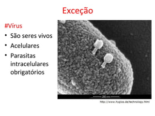 Exceção
#Vírus
• São seres vivos
• Acelulares
• Parasitas
  intracelulares
  obrigatórios
 