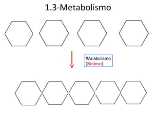 1.3-Metabolismo




         #Anabolismo
         (Síntese)
 