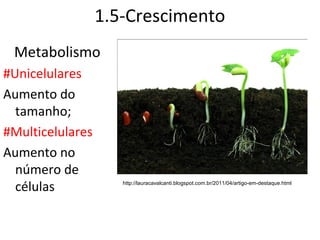 1.5-Crescimento
 Metabolismo
#Unicelulares
Aumento do
  tamanho;
#Multicelulares
Aumento no
  número de
  células            http://lauracavalcanti.blogspot.com.br/2011/04/artigo-em-destaque.html
 