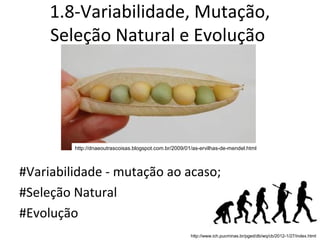 1.8-Variabilidade, Mutação,
     Seleção Natural e Evolução




         http://dnaeoutrascoisas.blogspot.com.br/2009/01/as-ervilhas-de-mendel.html



#Variabilidade - mutação ao acaso;
#Seleção Natural
#Evolução
                                                        http://www.ich.pucminas.br/pged/db/wq/cb/2012-1/27/index.html
 