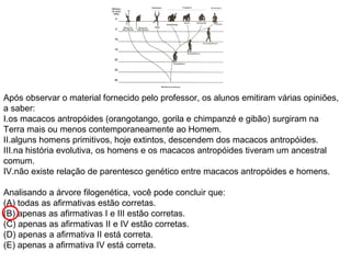 Após observar o material fornecido pelo professor, os alunos emitiram várias opiniões,
a saber:
I.os macacos antropóides (orangotango, gorila e chimpanzé e gibão) surgiram na
Terra mais ou menos contemporaneamente ao Homem.
II.alguns homens primitivos, hoje extintos, descendem dos macacos antropóides.
III.na história evolutiva, os homens e os macacos antropóides tiveram um ancestral
comum.
IV.não existe relação de parentesco genético entre macacos antropóides e homens.

Analisando a árvore filogenética, você pode concluir que:
(A) todas as afirmativas estão corretas.
(B) apenas as afirmativas I e III estão corretas.
(C) apenas as afirmativas II e IV estão corretas.
(D) apenas a afirmativa II está correta.
(E) apenas a afirmativa IV está correta.
 