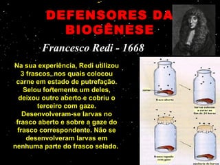 DEFENSORES DA
            BIOGÊNESE
        Francesco Redi - 1668
Na sua experiência, Redi utilizou
   3 frascos, nos quais colocou
 carne em estado de putrefação.
    Selou fortemente um deles,
  deixou outro aberto e cobriu o
         terceiro com gaze.
    Desenvolveram-se larvas no
 frasco aberto e sobre a gaze do
  frasco correspondente. Não se
     desenvolveram larvas em
nenhuma parte do frasco selado.
 