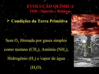 EVOLUÇÃO QUÍMICA
            1920 - Oparim e Haldane

  Condições da Terra Primitiva



Sem O2 formada por gases simples

como metano (CH4), Amônia (NH3),

 Hidrogênio (H2) e vapor de água

             (H2O).
 