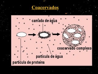 Coacervados
 
