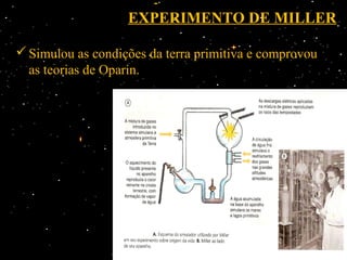 EXPERIMENTO DE MILLER

 Simulou as condições da terra primitiva e comprovou
  as teorias de Oparin.
 