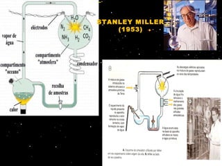 STANLEY MILLER
    (1953)
 