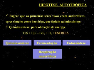 HIPÓTESE AUTOTRÓFICA

 Sugere que os primeiros seres vivos eram autotróficos,
seres simples como bactérias, que faziam quimiossíntese.
 Quimiossíntese: para obtenção de energia.
            FeS + H2S – FeS2 + H2 + ENERGIA


Quimiossíntese        Fermentação             Fotossíntese

                        Respiração
                        anaeróbica
 