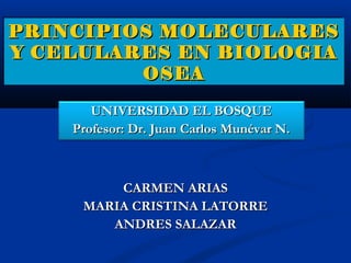PRINCIPIOS MOLECULARES
PRINCIPIOS MOLECULARES
Y CELULARES EN BIOLOGIA
Y CELULARES EN BIOLOGIA
         OSEA
         OSEA
       UNIVERSIDAD EL BOSQUE
    Profesor: Dr. Juan Carlos Munévar N.



         CARMEN ARIAS
     MARIA CRISTINA LATORRE
        ANDRES SALAZAR
 