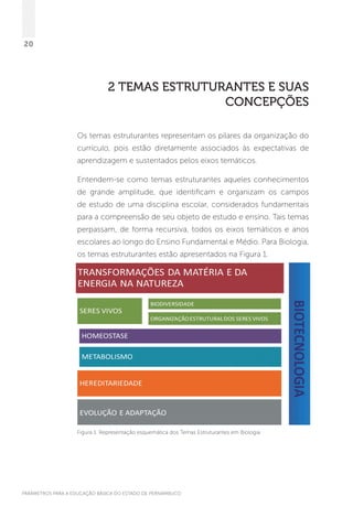 PARÂMETROS PARA A EDUCAÇÃO BÁSICA DO ESTADO DE PERNAMBUCO
20
2 TEMAS ESTRUTURANTES E SUAS
CONCEPÇÕES
Os temas estruturantes representam os pilares da organização do
currículo, pois estão diretamente associados às expectativas de
aprendizagem e sustentados pelos eixos temáticos.
Entendem-se como temas estruturantes aqueles conhecimentos
de grande amplitude, que identificam e organizam os campos
de estudo de uma disciplina escolar, considerados fundamentais
para a compreensão de seu objeto de estudo e ensino. Tais temas
perpassam, de forma recursiva, todos os eixos temáticos e anos
escolares ao longo do Ensino Fundamental e Médio. Para Biologia,
os temas estruturantes estão apresentados na Figura 1.
Figura 1. Representação esquemática dos Temas Estruturantes em Biologia
 