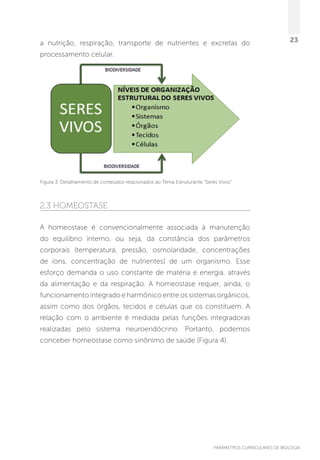 PARÂMETROS CURRICULARES DE BIOLOGIA
23a nutrição, respiração, transporte de nutrientes e excretas do
processamento celular.
Figura 3. Detalhamento de conteúdos relacionados ao Tema Estruturante “Seres Vivos”
2.3 Homeostase
A homeostase é convencionalmente associada à manutenção
do equilíbrio interno, ou seja, da constância dos parâmetros
corporais (temperatura, pressão, osmolaridade, concentrações
de íons, concentração de nutrientes) de um organismo. Esse
esforço demanda o uso constante de matéria e energia, através
da alimentação e da respiração. A homeostase requer, ainda, o
funcionamento integrado e harmônico entre os sistemas orgânicos,
assim como dos órgãos, tecidos e células que os constituem. A
relação com o ambiente é mediada pelas funções integradoras
realizadas pelo sistema neuroendócrino. Portanto, podemos
conceber homeostase como sinônimo de saúde (Figura 4).
 