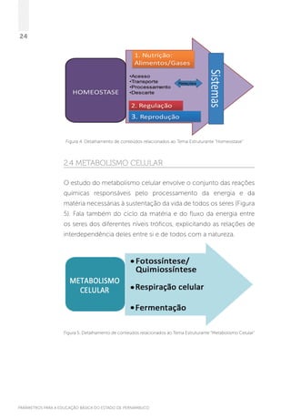 PARÂMETROS PARA A EDUCAÇÃO BÁSICA DO ESTADO DE PERNAMBUCO
24
Figura 4. Detalhamento de conteúdos relacionados ao Tema Estruturante “Homeostase”
2.4 Metabolismo celular
O estudo do metabolismo celular envolve o conjunto das reações
químicas responsáveis pelo processamento da energia e da
matéria necessárias à sustentação da vida de todos os seres (Figura
5). Fala também do ciclo da matéria e do fluxo da energia entre
os seres dos diferentes níveis tróficos, explicitando as relações de
interdependência deles entre si e de todos com a natureza.
Figura 5. Detalhamento de conteúdos relacionados ao Tema Estruturante “Metabolismo Celular”
 