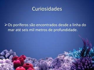 Curiosidades
Os poríferos são encontrados desde a linha do
mar até seis mil metros de profundidade.
21
 