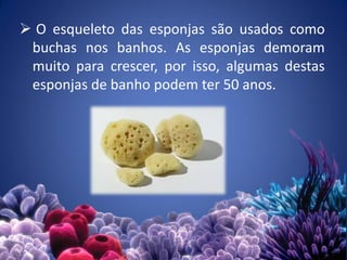  O esqueleto das esponjas são usados como
buchas nos banhos. As esponjas demoram
muito para crescer, por isso, algumas destas
esponjas de banho podem ter 50 anos.
22
 