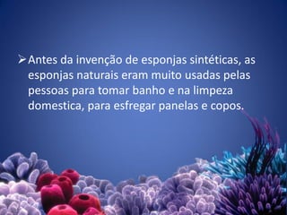 23
Antes da invenção de esponjas sintéticas, as
esponjas naturais eram muito usadas pelas
pessoas para tomar banho e na limpeza
domestica, para esfregar panelas e copos.
 