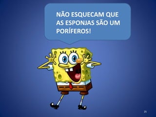 25
NÃO ESQUECAM QUE
AS ESPONJAS SÃO UM
PORÍFEROS!
 