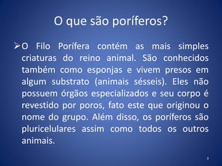 O que são poríferos?
O Filo Porífera contém as mais simples
criaturas do reino animal. São conhecidos
também como esponjas e vivem presos em
algum substrato (animais sésseis). Eles não
possuem órgãos especializados e seu corpo é
revestido por poros, fato este que originou o
nome do grupo. Além disso, os poríferos são
pluricelulares assim como todos os outros
animais.
3
 