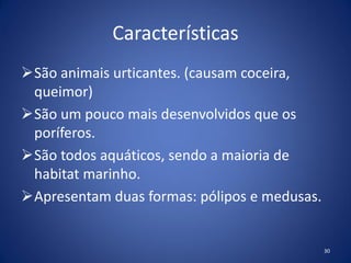 Características
São animais urticantes. (causam coceira,
queimor)
São um pouco mais desenvolvidos que os
poríferos.
São todos aquáticos, sendo a maioria de
habitat marinho.
Apresentam duas formas: pólipos e medusas.
30
 