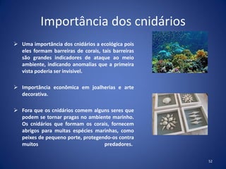 Importância dos cnidários
 Uma importância dos cnidários a ecológica pois
eles formam barreiras de corais, tais barreiras
são grandes indicadores de ataque ao meio
ambiente, indicando anomalias que a primeira
vista poderia ser invisivel.
 Importância econômica em joalherias e arte
decorativa.
 Fora que os cnidários comem alguns seres que
podem se tornar pragas no ambiente marinho.
Os cnidários que formam os corais, fornecem
abrigos para muitas espécies marinhas, como
peixes de pequeno porte, protegendo-os contra
muitos predadores.
52
 