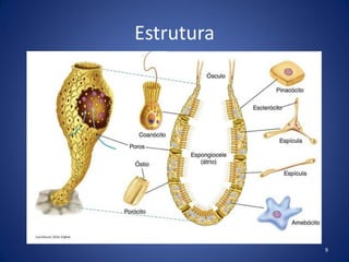 Estrutura
9
 