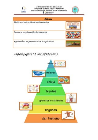 UNIVERSIDAD TÉCNICA DE MACHALA
DIRECCIÓN DE NIVELACIÓN Y ADMISIÓN
SISTEMA NACIONAL DE NIVELACIÓN Y ADMISIÓN
Aplicada
Medicina= aplicación de medicamentos
Farmacia = elaboración de fármacos
Agronomía = mejoramiento de la agricultura
ORGANIZACIÓN DE LOS SERES VIVOS
atomo
molecula
celula
tejidos
aparatos o sistemas
organos
ser humano
 
