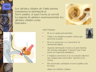 Les c è l · lules ciliades de l ’ o ï da interna transmeten la informaci ó  al  Nervi auditiu, el qual l ’ envia al cervell La majoria de p è rdues neurosensorials les c è l · lules ciliades estan  Danyades. Amb l ’ implant: El so es captat pel micròfon Viatja a un miniprocessador extern que processa la parla El so es processa i es converteix en informaci ó  digital Aquesta informaci ó  s ’ envia a la part interna del sistema mitjan ç ant  “ l ’ antena ”  que li han posat en l ’ operaci ó  quir ú rgica L ’ implant converteix el so en senyals el è ctrics que viatgen pels electrodes  inserits en la còclea Els electrodes estimulen el nervi auditiu com ho feien  abans les c è l · lules ciliades 