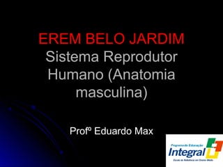 EREM BELO JARDIMEREM BELO JARDIM
Sistema ReprodutorSistema Reprodutor
Humano (AnatomiaHumano (Anatomia
masculina)masculina)
Profº Eduardo MaxProfº Eduardo Max
 
