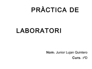   PRÀCTICA DE  LABORATORI Nom:  Junior Lujan Quintero Curs:  3ºD 