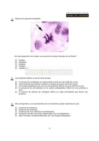 7. Observa la siguiente fotografía:
MC




     ¿En qué etapa del ciclo celular se encuentra la célula indicada con la flecha?

     A)   Profase.
     B)   Metafase.
     C)   Anafase.
     D)   Telofase.
     E)   Citodiéresis.




8.   Las proteínas difieren unas de otras porque
ME
     A)   el número de nucleótidos en cada proteína varía de una molécula a otra.
     B)   cada molécula de proteína contiene su propia secuencia única de azúcar.
     C)   los enlaces peptídicos que unen los aminoácidos difieren de una proteína a otra.
     D)   la secuencia de aminoácidos en la cadena polipeptídica difiere de una proteína a
          otra.
     E)   el número de átomos de nitrógeno difiere en cada aminoácido que forma una
          proteína.




9. NO     corresponde a una característica de la membrana celular bacteriana la (el)
ME
   A)     ausencia de colesterol.
   B)     presencia de proteínas.
   C)     presencia de una cubierta de carbohidratos.
   D)     asociación de ella a enzimas relacionadas con el metabolismo.
   E)     estar formada, fundamentalmente, por una bicapa fosfolipídica.




                                                5
 